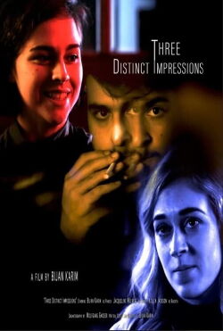 Three Distinct Impressions (2016)