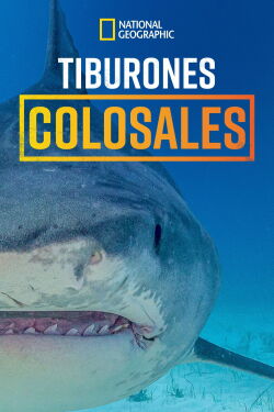 Tiburones colosales (2024)