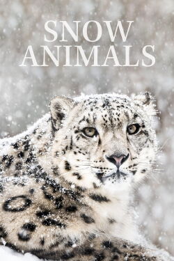 Tiere im ewigen Eis (2019)
