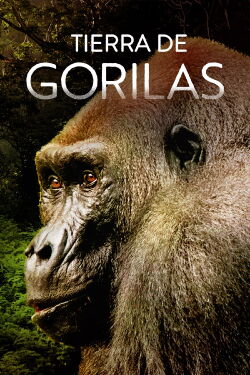 Tierra de Gorilas (2022)