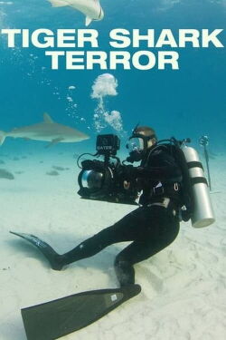 Tiger Shark Terror (2017)