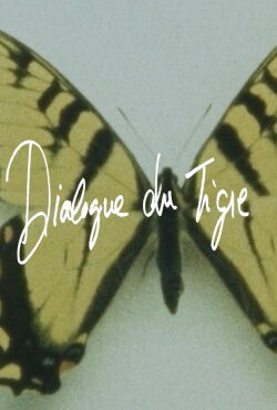 Tiger's Dialogue (2017)