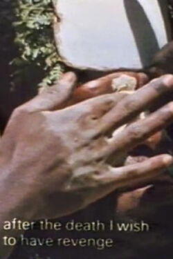 Tighten the Drums: Self-Decoration Among the Enga (1983)