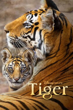 Tigres (2024)
