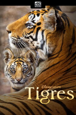 Tigres (2024)