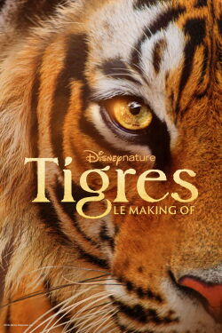 Tigres : le making of (2024)
