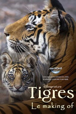 Tigres : Le Making of (2024)