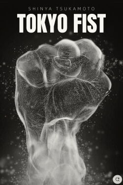 Tokyo Fist (1995)