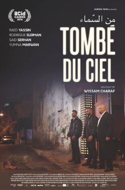 Tombé du ciel (2016)