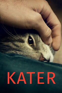 Tomcat (2016)