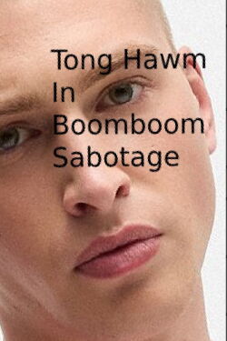 Tony Hawk in Boom Boom Sabotage (2006)