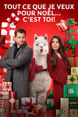 Tout ce que je veux pour Noël… c’est toi! (2022)