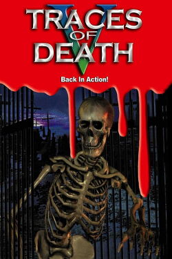 Traces of Death V: Back in Action (2000)