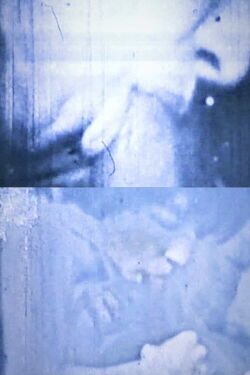 Transfer of Modulation (1969)