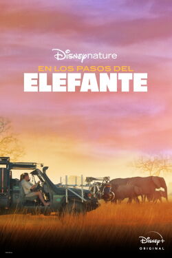 Tras los pasos del elefante (2020)