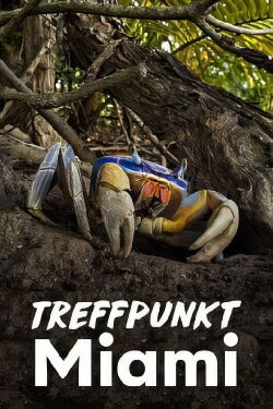 Treffpunkt Miami (2022)