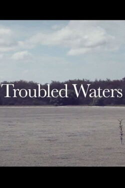 Troubled Waters (2010)