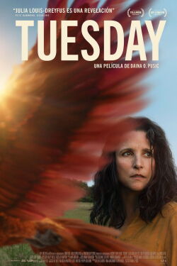 Tuesday, Abrazando La Vida (2024)