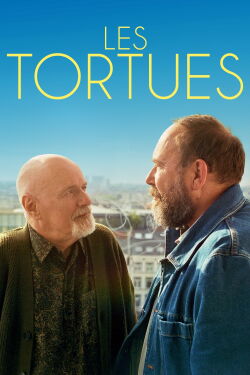 Turtles (2024)