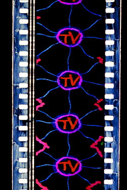 TV (2019)