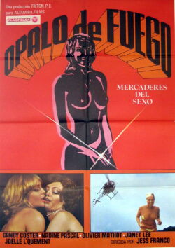 Two Female Spies with Flowered Panties (1980)