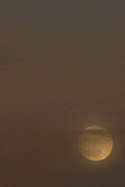 two moons (2019)