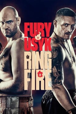Tyson Fury vs. Oleksandr Usyk (2024)