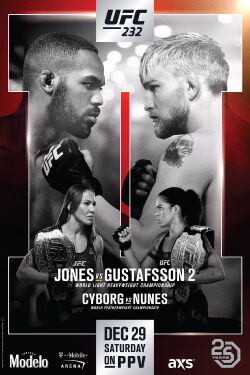 UFC 232: Jones vs. Gustafsson 2 (2018)
