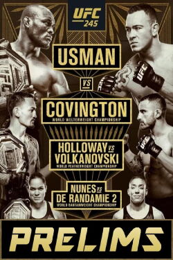 UFC 245: Usman vs. Covington (2019)