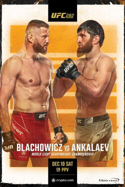UFC 282: Procházka vs. Teixeira 2 (2022)