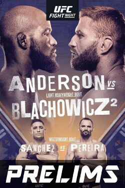 UFC Fight Night 167: Anderson vs. Błachowicz 2 (2020)