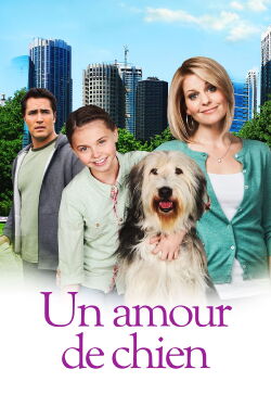 Un amour de chien (2012)