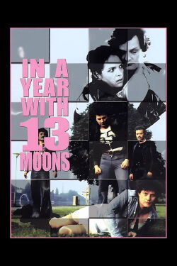Un año con trece lunas (1978)