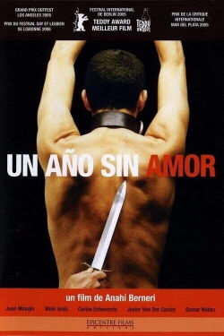 Un Año sin amor (2005)