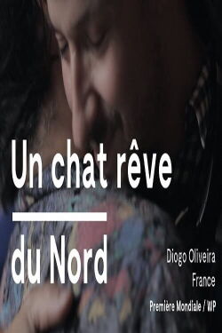 Un chat reve du Nord (2020)