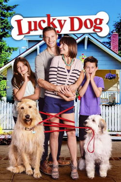 Un chien très chanceux (2014)