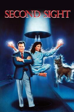 Un detective con mucha vista (1989)