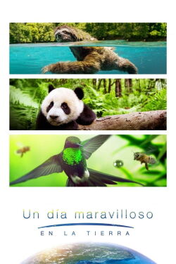 Un día maravilloso en la Tierra (2017)