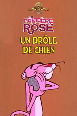 Un Drôle De Chien (1978)