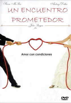 Un encuentro prometedor (2013)
