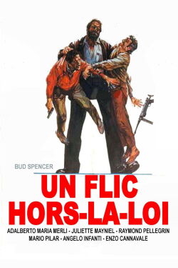 Un flic hors-la-loi (1973)
