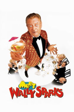 Un loco anda suelto (1997)