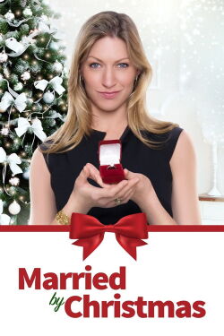 Un mari avant Noël (2016)
