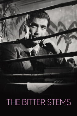 Un meurtre pour rien (1956)