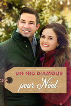 Un nid d'amour pour Noël (2018)