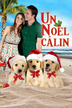 Un Noël canin : La deuxième chance (2011)