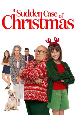 Un Noël en Été (2024)