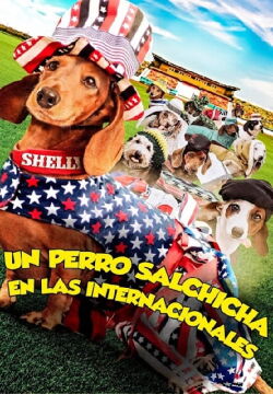Un perro salchicha en las internacionales (2015)