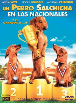 Un Perro Salchicha en las Nacionales (2013)