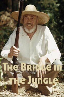 Un puente en la jungla (1971)